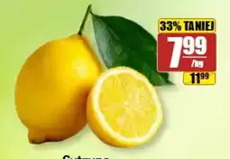 API MARKET Cytryna oferta