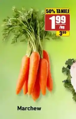 API MARKET Marchew oferta