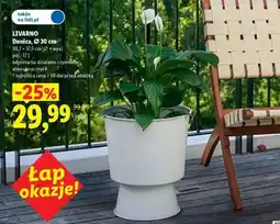 Lidl LIVARNO Donica, Ø 30 cm oferta