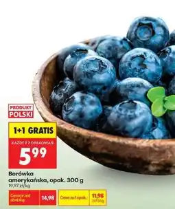 Biedronka Borówka amerykańska opak 300 g oferta