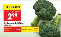 Biedronka Brokuł opak 500 g oferta