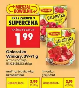 Biedronka Galaretka Winiary, 39-71 g oferta