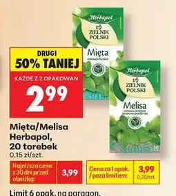 Biedronka Mięta/Melisa Herbapol, 20 torebek oferta