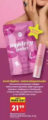 Biedronka Błyszczyk do ust Mystery Bell Iconic Lips, 4,5 g oferta