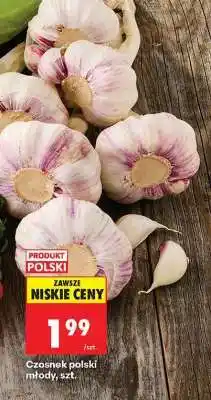 Biedronka Czosnek polski młody, szt oferta