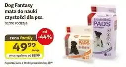 Kakadu Dog Fantasy mata do nauki czystości dla psa oferta