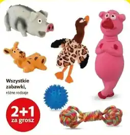 Kakadu Zabawki oferta