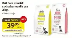 Kakadu Brit Care mini GF sucha karma dla psa oferta