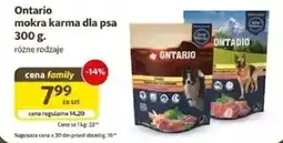 Kakadu Ontario mokra karma dla psa oferta