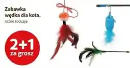Kakadu Zabawka wędka dla kota oferta