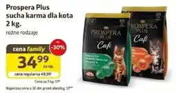 Kakadu Prospera Plus sucha karma dla kota oferta