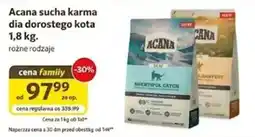 Kakadu Acana sucha karma dla dorosłego kota oferta