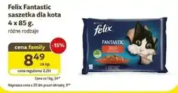 Kakadu Felix Fantastic saszetka dla kota oferta