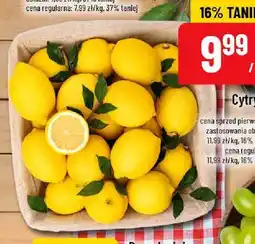 Polomarket Cytryny oferta