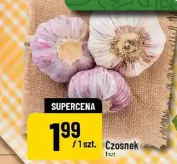 Polomarket Czosnek oferta