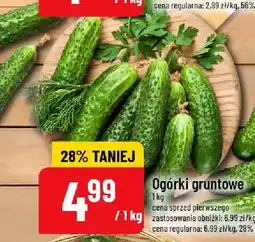Polomarket Ogórki gruntowe oferta
