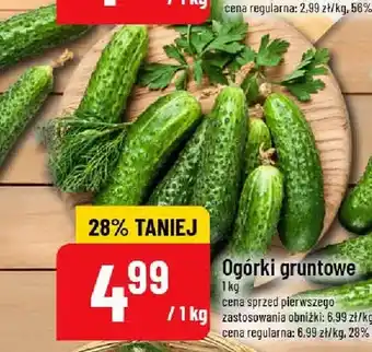 Polomarket Ogórki gruntowe oferta