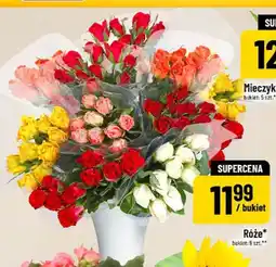 Polomarket Róże oferta