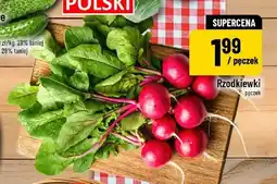 Polomarket Rzodkiewki oferta