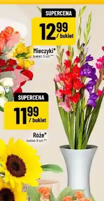 Polomarket Mieczyki oferta