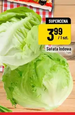 Polomarket Sałata lodowa oferta