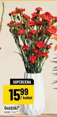 Polomarket Goździki bukiet oferta