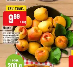 Polomarket Morele oferta