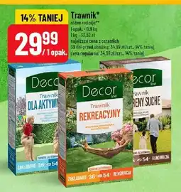 Polomarket Nasiona trawy Trawnik dla aktywnych Decor Line oferta