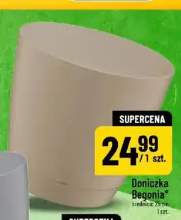 Polomarket Doniczka Begonia 25 cm oferta