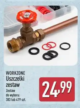 ALDI Zestaw uszczelek Workzone 383 szt oferta