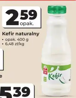 Odido Kefir naturalny oferta