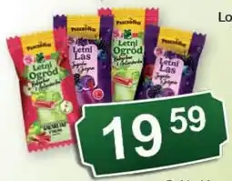 Eden Puszcziko Letni Ogród oferta