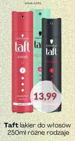Astor Taft lakier do włosów oferta