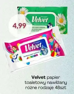 Astor Velvet papier toaletowy nawilżany oferta