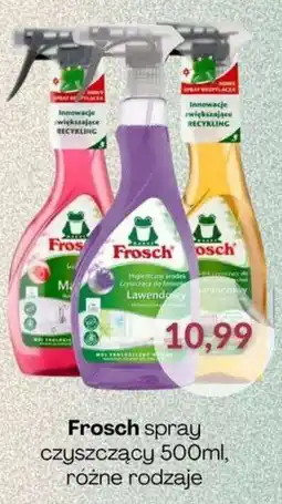 Astor Frosch spray czyszczący oferta