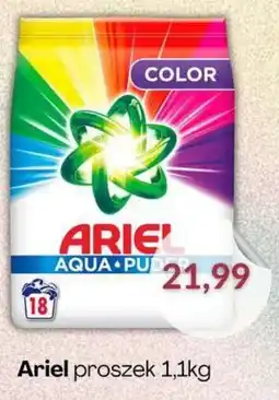 Astor Ariel proszek oferta