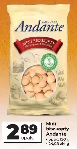 Odido Mini biszkopty Andante oferta