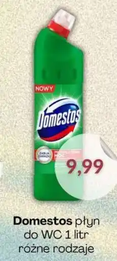 Astor Domestos płyn do WC oferta