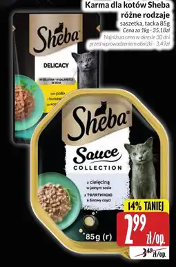 Hala Wola Sheba Sauce Collection oferta