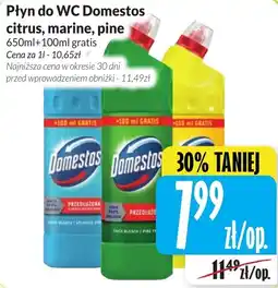 Hala Wola Płyn do WC Domestos citrus, marine, pine oferta