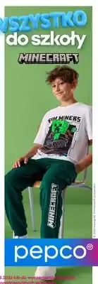 Pepco Kolekcja odzieży dziecięcej Minecraft oferta