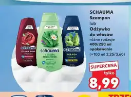 Kaufland Szampon do włosów Schauma oferta