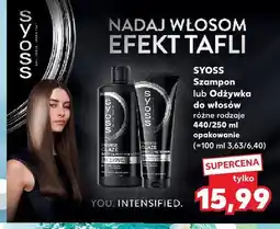 Kaufland Odżywka do włosów Syoss oferta
