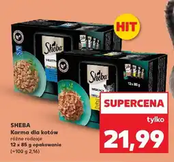 Kaufland Karma dla kotów Sheba różne rodzaje oferta