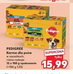 Kaufland Karma dla psów w saszetkach Pedigree różne rodzaje oferta