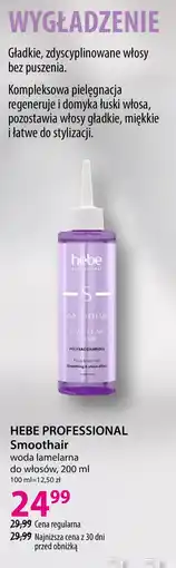 Hebe HEBE PROFESSIONAL Smoothair woda lamelarna do włosów oferta