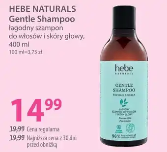 HEBE NATURALS Gentle Shampoo