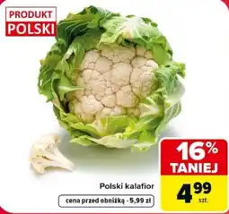 Carrefour Polski kalafior oferta