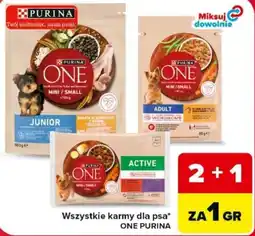 Carrefour Karma dla psa ONE PURINA oferta