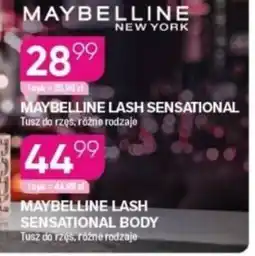 Koliber drogerie Maybelline Lash Sensational oferta